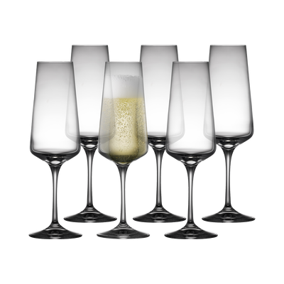 Reflect Champagneglas 6 stk.